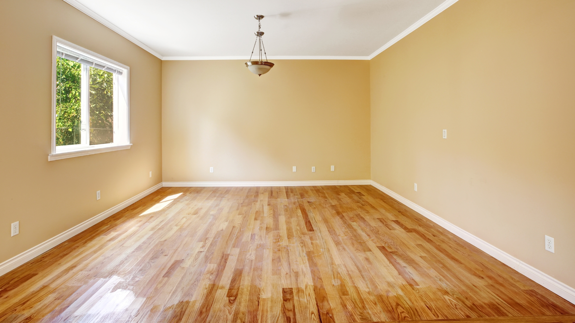 empty room with new hardwood floors installed venice ca